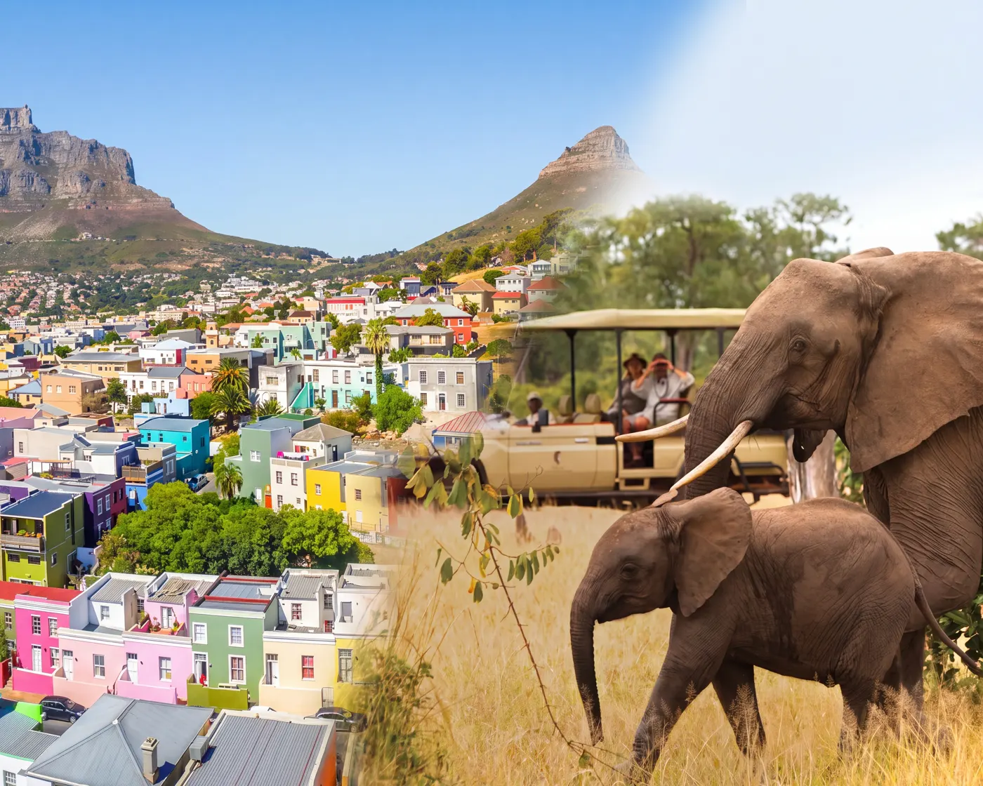 Kapstadt: Bo-Kaap-Viertel mit Tafelberg und Safari-Erlebnis